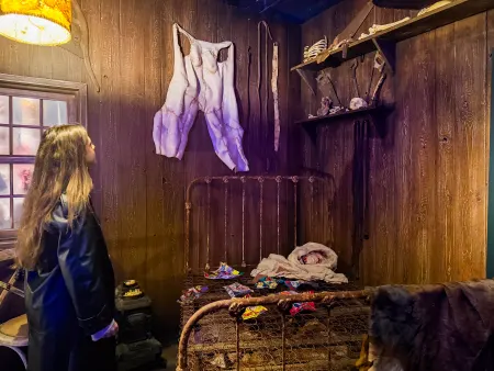 Mind of a Serial Killer: A Serial Killers Exhibition