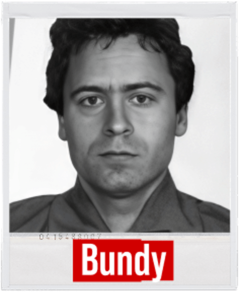 Ted Bundy serial killer