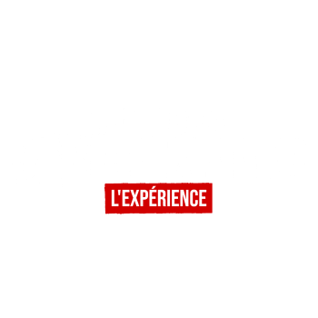Mind of a Serial Killer : L’Expérience